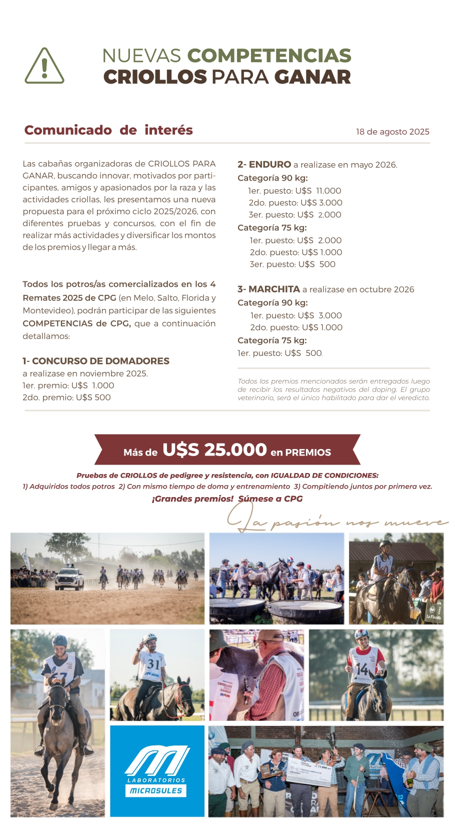 Nuevas Competencias